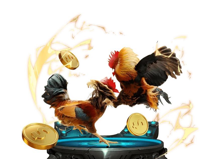 Chương trình VIP Win55 55k